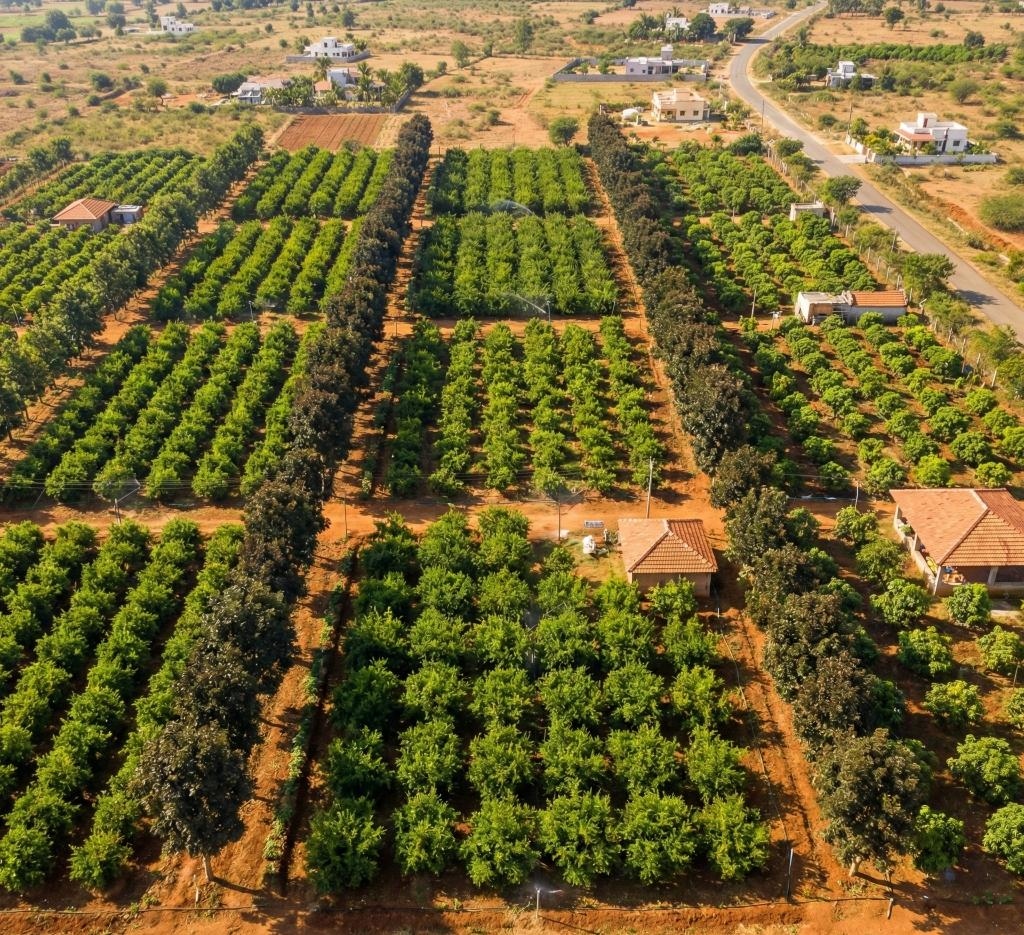 Aerial drone photograph of Hithaishi Managed Farmlands showing agricultural plots, orchard rows, internal access roads, and rural landscape near Mysuru